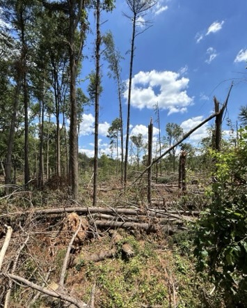 Liberty Reservoir Tornado Damage Restoration